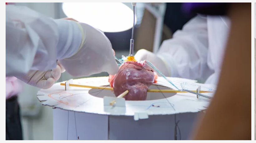 Best Cardiologist Near Me Ghatkopar